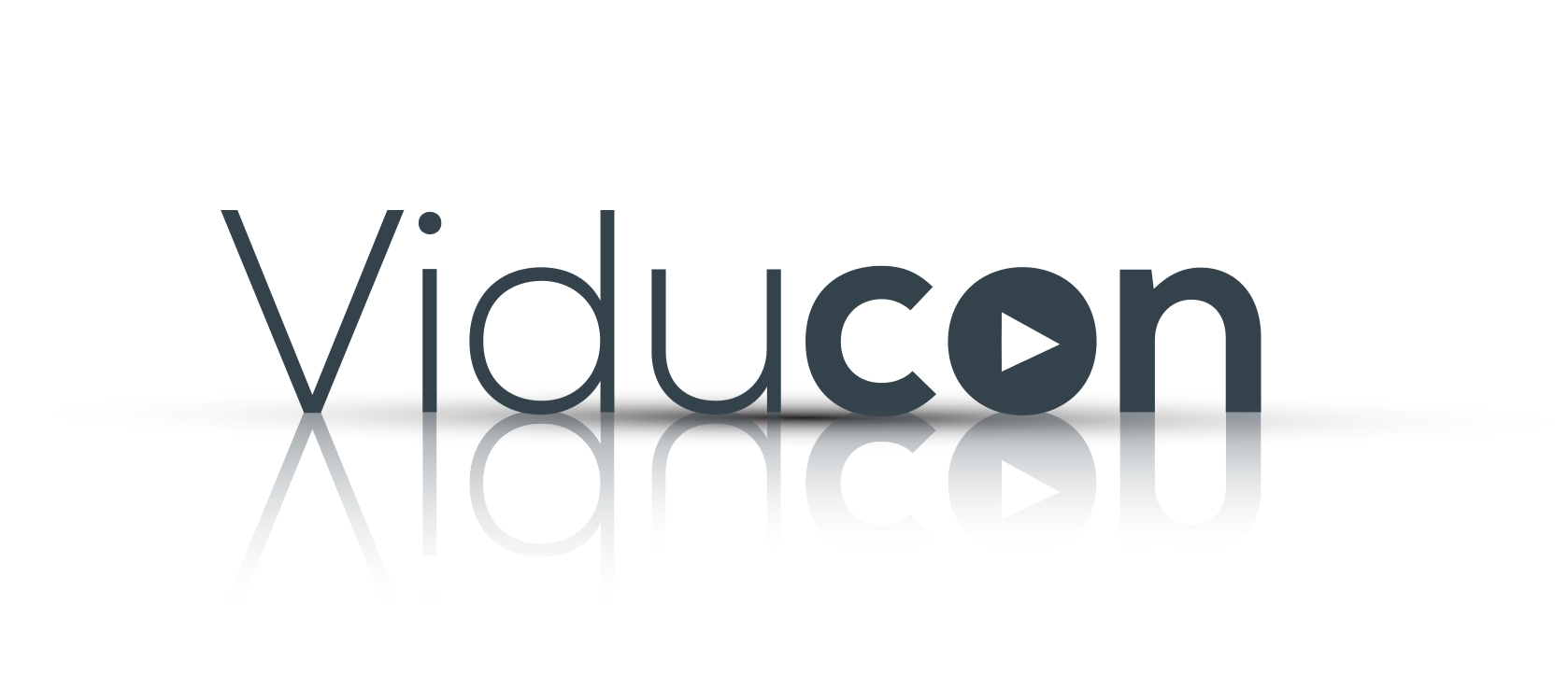 Viducon