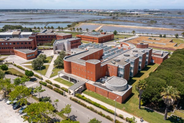 Vevox University of Aveiro